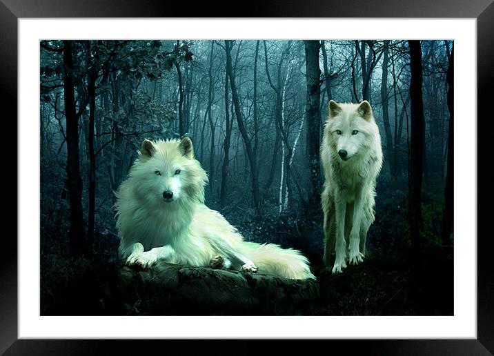 Arctic Wolves Framed Mounted Print by Julie Hoddinott