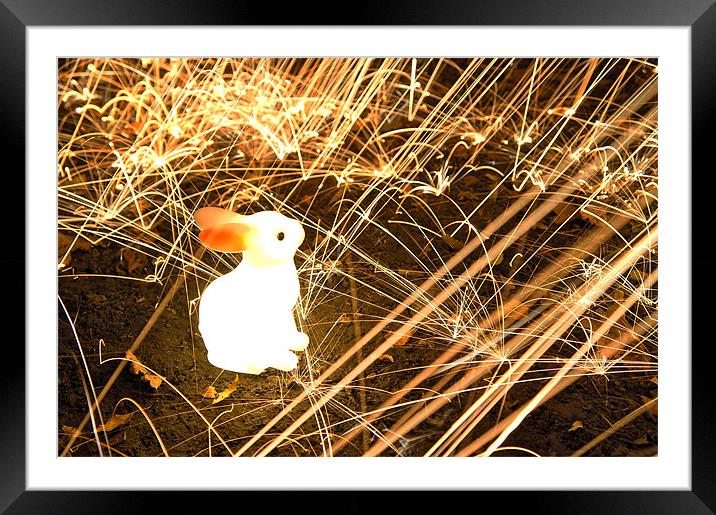 Follow The White Rabbit Framed Mounted Print by David  Fennings