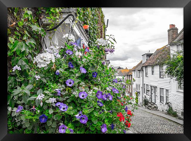 Colourful Rye Framed Print by Richard Thomas