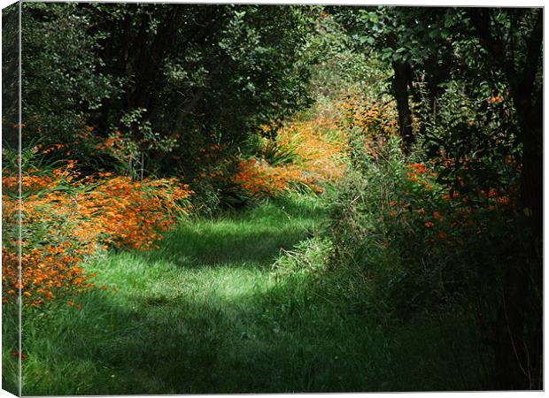green paths Canvas Print by TERENCE O'NEILL