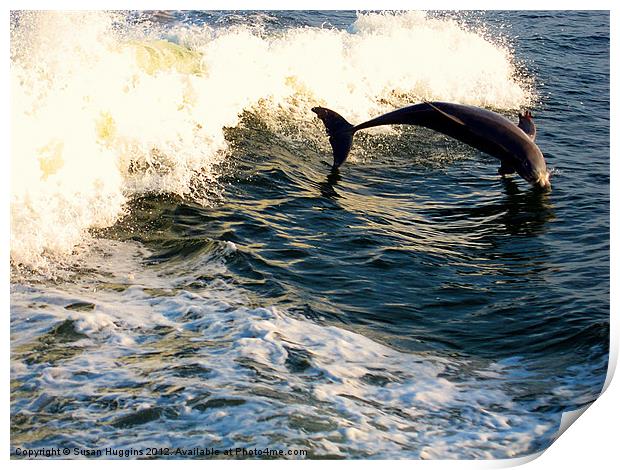 Out of the Water (dolphin2) Print by Susan Medeiros