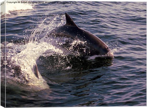 Whipping Tail (Dolphin 4) Canvas Print by Susan Medeiros