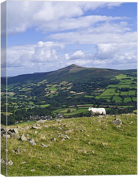 View of Sugar Loaf Canvas Print by Hazel Powell