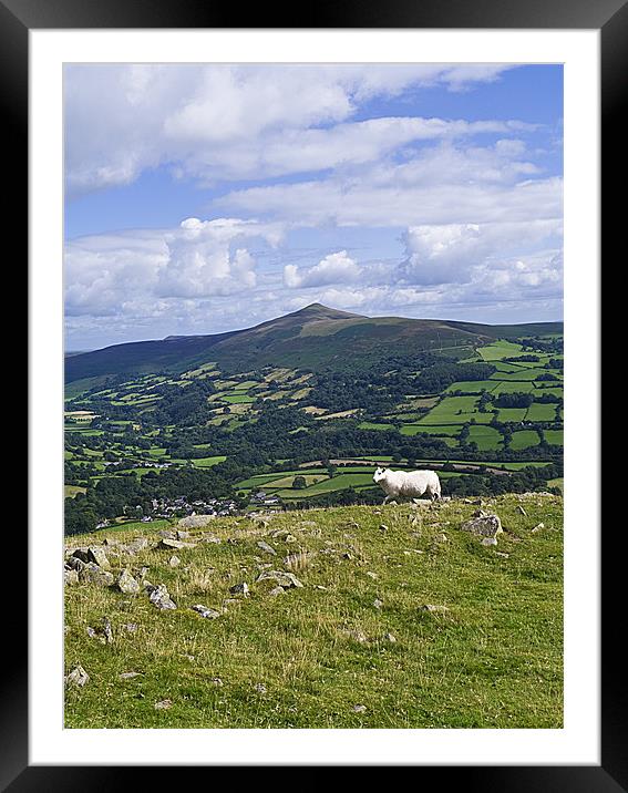View of Sugar Loaf Framed Mounted Print by Hazel Powell