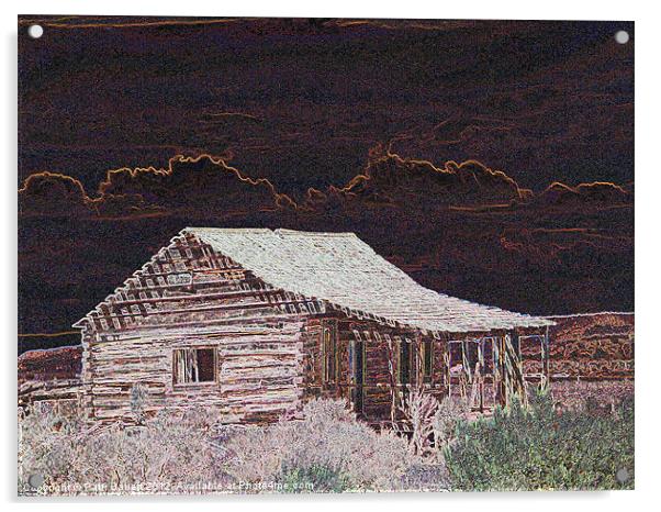 Landmark Homestead Cabin Acrylic by Patti Barrett