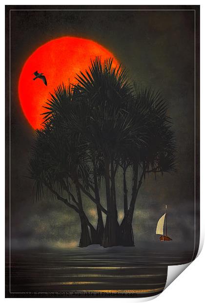 PALM TREES IN THE SUNSET Print by Tom York