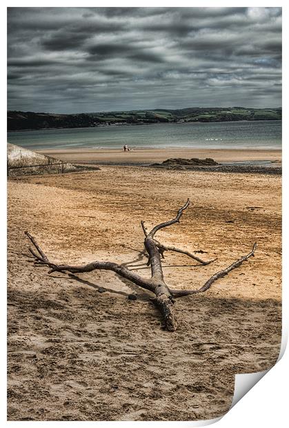 Driftwood 4 Print by Steve Purnell