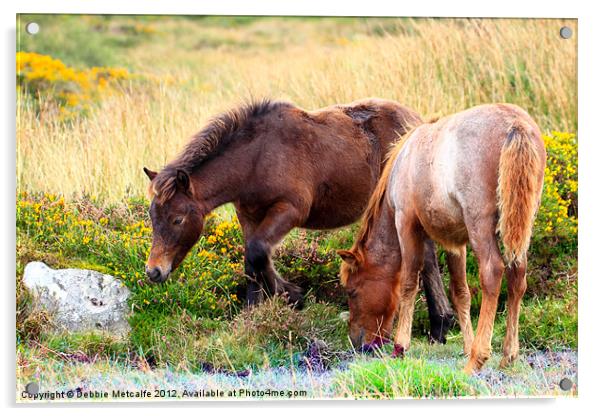Ponies on Dartmoor Acrylic by Debbie Metcalfe