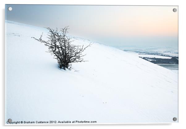 Pure as Snow Acrylic by Graham Custance