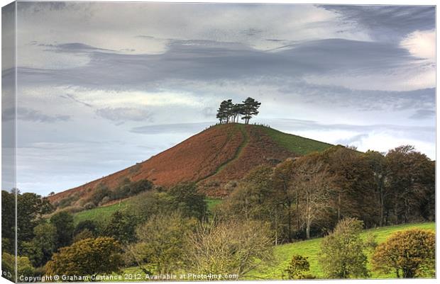 Colmers Hill, Dorset Canvas Print by Graham Custance