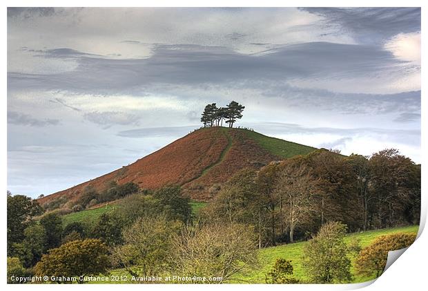 Colmers Hill, Dorset Print by Graham Custance