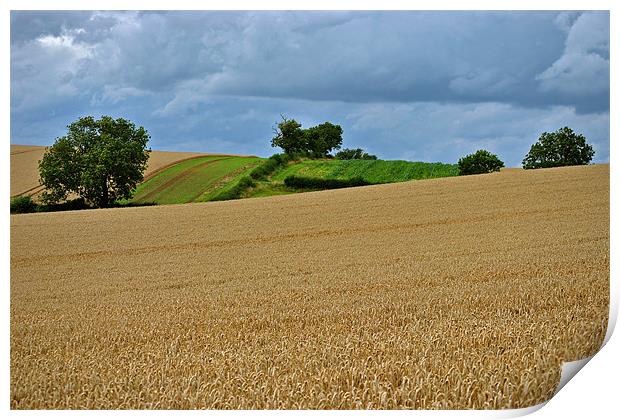 A Little Patch of Green Print by graham young