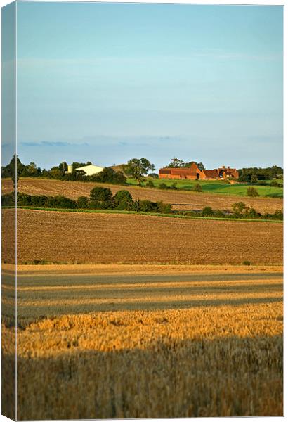Helsthorpe Farm Canvas Print by graham young