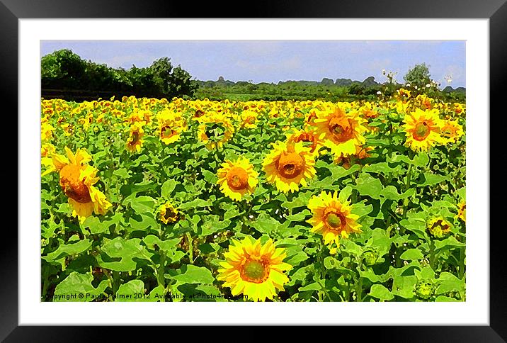 Arty sunflower field! Framed Mounted Print by Paula Palmer canvas