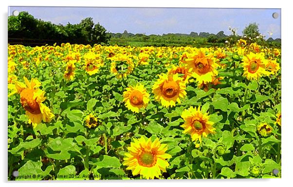 Arty sunflower field! Acrylic by Paula Palmer canvas