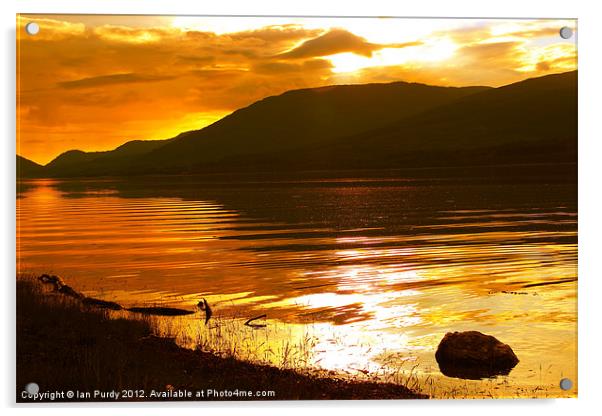Banks of Loch Eil Acrylic by Ian Purdy