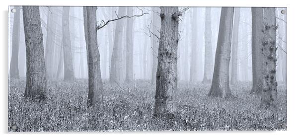 Trees in Mist Acrylic by Brian Roberts