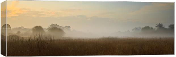 Hatfield Forest in Mist Canvas Print by Brian Roberts