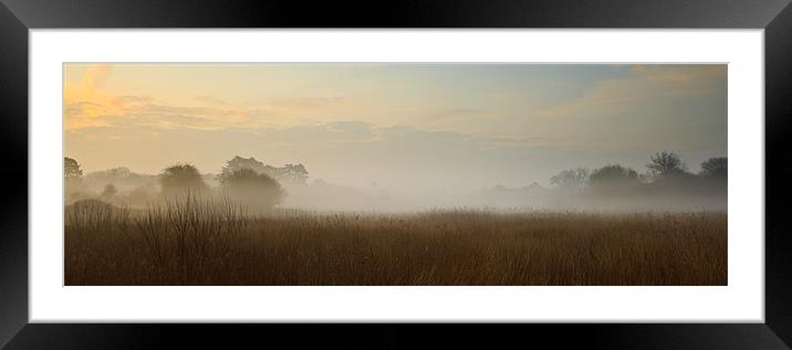 Hatfield Forest in Mist Framed Mounted Print by Brian Roberts