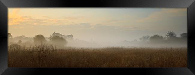 Hatfield Forest in Mist Framed Print by Brian Roberts