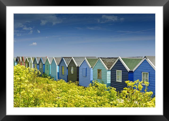 Beach huts in Springtime Framed Mounted Print by James Rowland