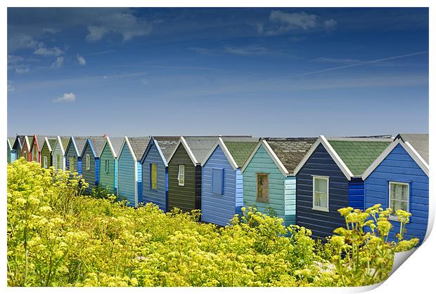 Beach huts in Springtime Print by James Rowland