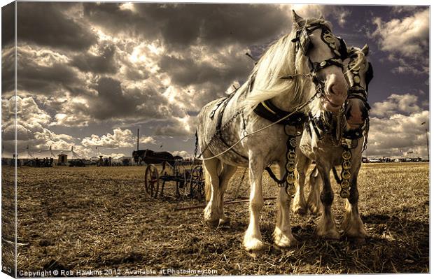 Angel & Lad at the GDSF Canvas Print by Rob Hawkins
