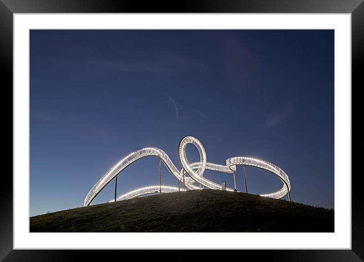 Tiger & Turtle Framed Mounted Print by peter schickert
