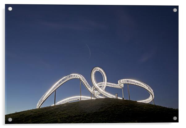 Tiger & Turtle Acrylic by peter schickert