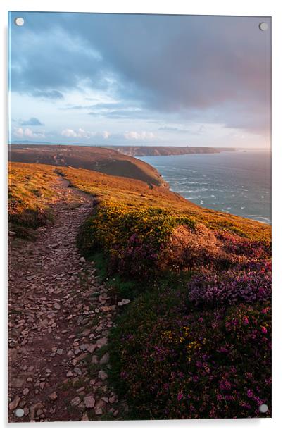 Cornish Coast at Golden Hour Acrylic by Jonathan Swetnam