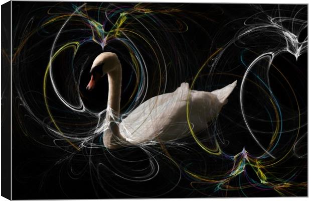 White Swan Over Smokey Waters. Canvas Print by Heather Goodwin