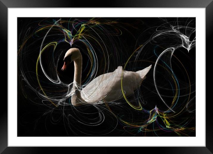 White Swan Over Smokey Waters. Framed Mounted Print by Heather Goodwin