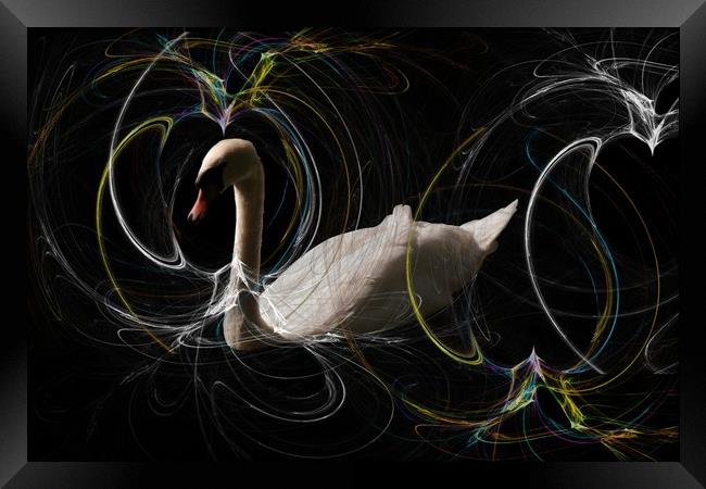 White Swan Over Smokey Waters. Framed Print by Heather Goodwin