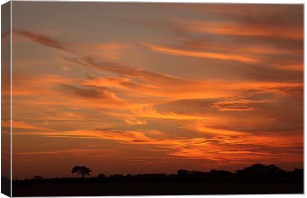 Majestic North Norfolk Sunset Canvas Print by Digitalshot Photography