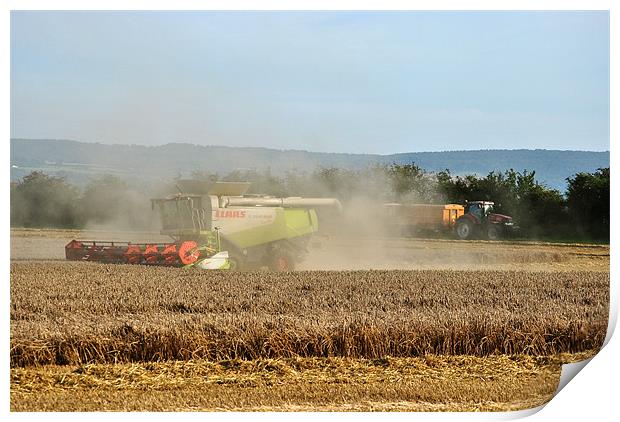 Harvesting the Wheat Print by graham young