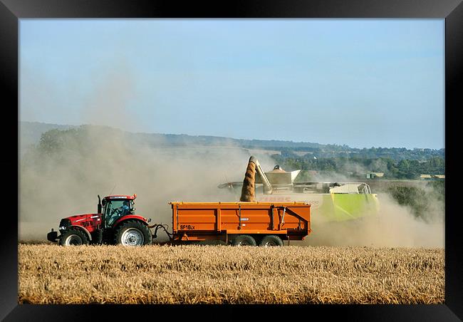 Unloading the Grain Framed Print by graham young