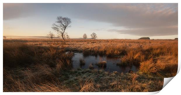 Leash Fen Sunrise Print by Richard Cooper