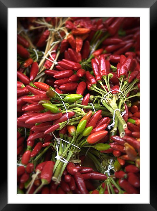 Red Chillies Framed Mounted Print by James Rowland