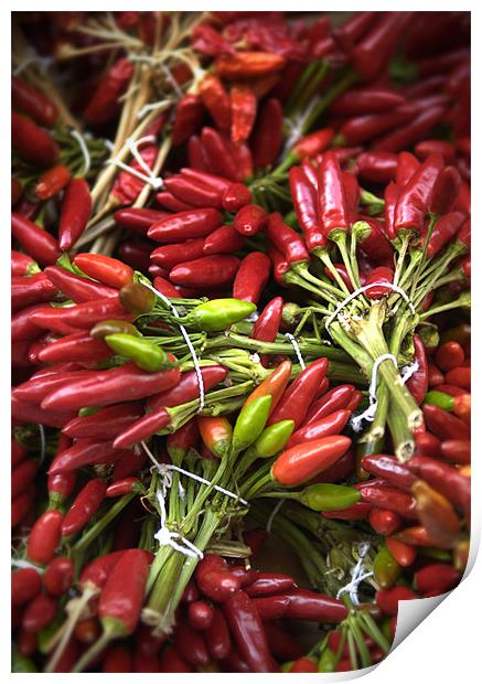 Red Chillies Print by James Rowland