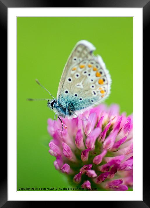 waiting for the sun Framed Mounted Print by Jo Beerens