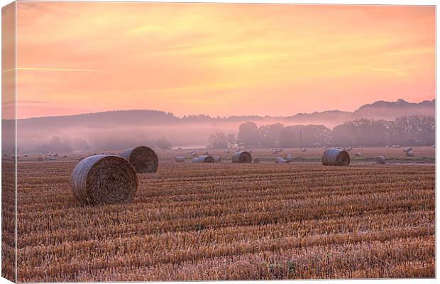 misty morning 1 Canvas Print by kevin wise