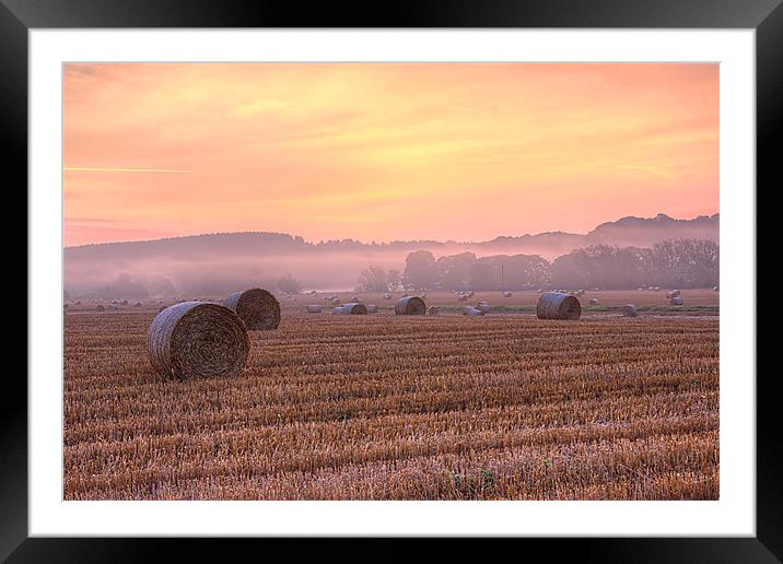 misty morning 1 Framed Mounted Print by kevin wise