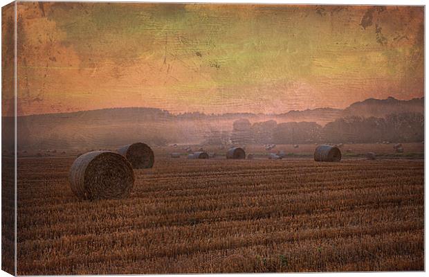 textured misty morning 1 Canvas Print by kevin wise