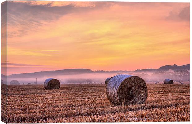 misty morning 2 Canvas Print by kevin wise