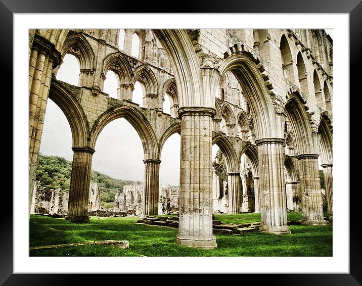 Cloisters of Rievaulx Abbey Framed Mounted Print by Sarah Couzens