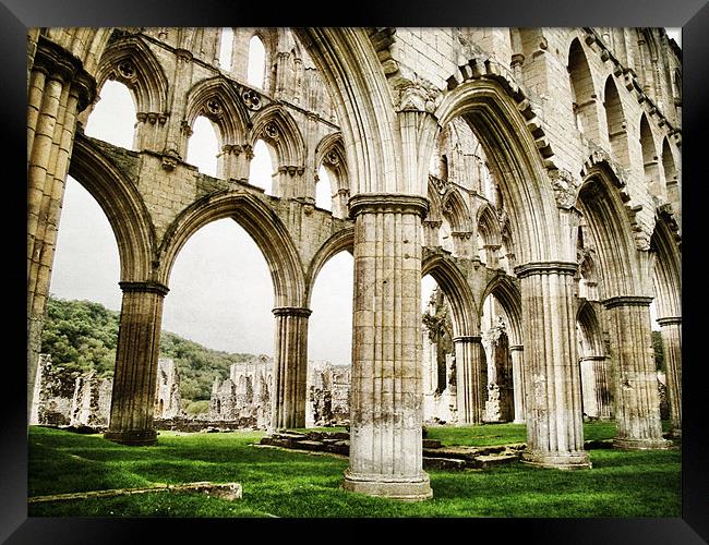 Cloisters of Rievaulx Abbey Framed Print by Sarah Couzens