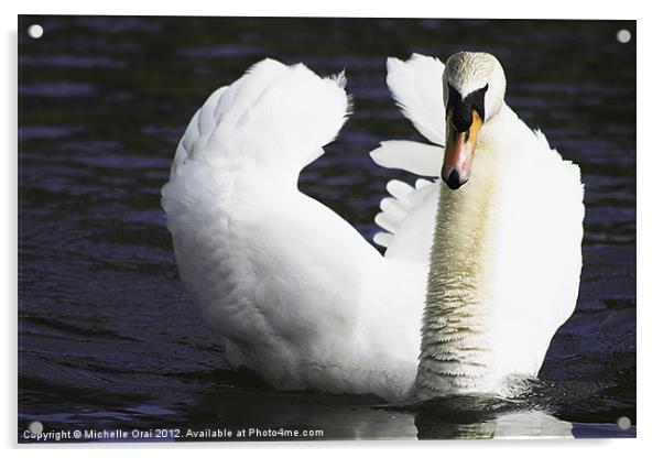 White swan on dark waters. Acrylic by Michelle Orai