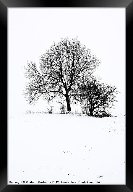 Winter Wonderland Framed Print by Graham Custance