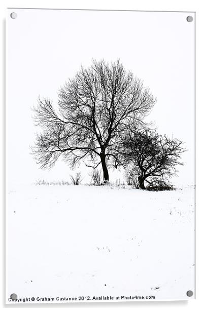 Winter Wonderland Acrylic by Graham Custance