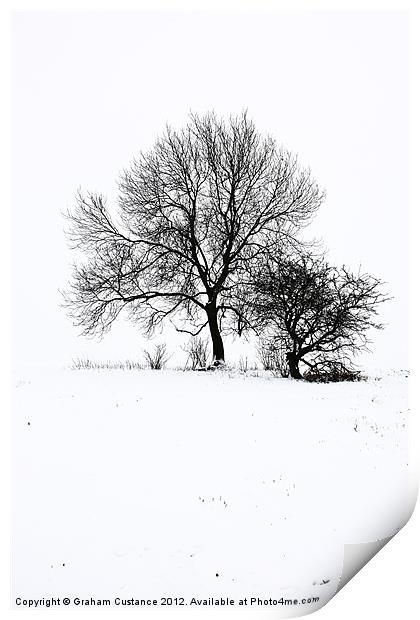 Winter Wonderland Print by Graham Custance